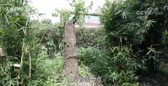 女子穿和服做核酸檢測遭勸阻，必須“換了衣服再來”？